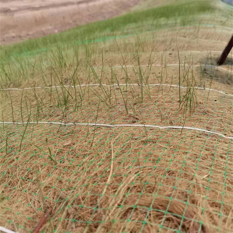 geosynthetics geosynthetics