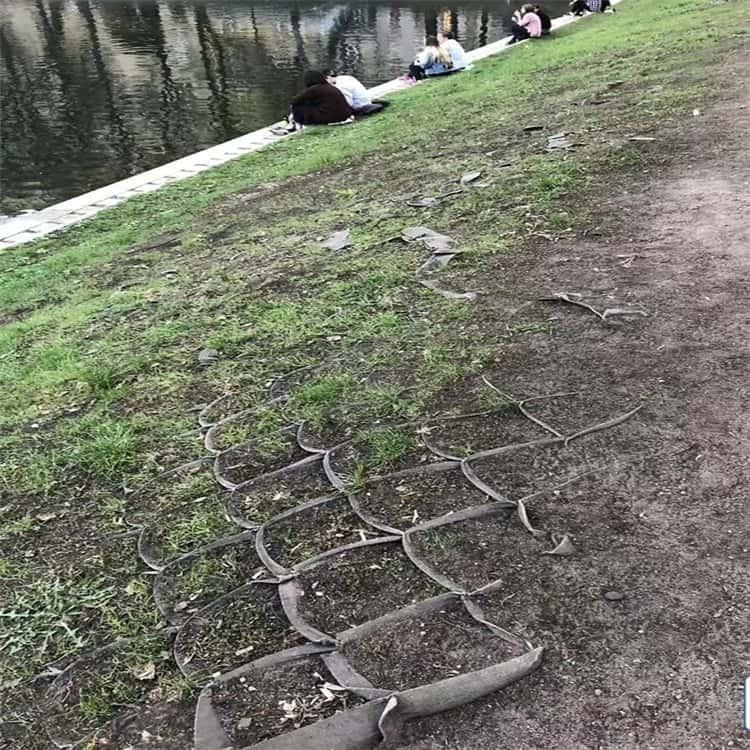 Geocell Erosion Control Geocell Erosion Control