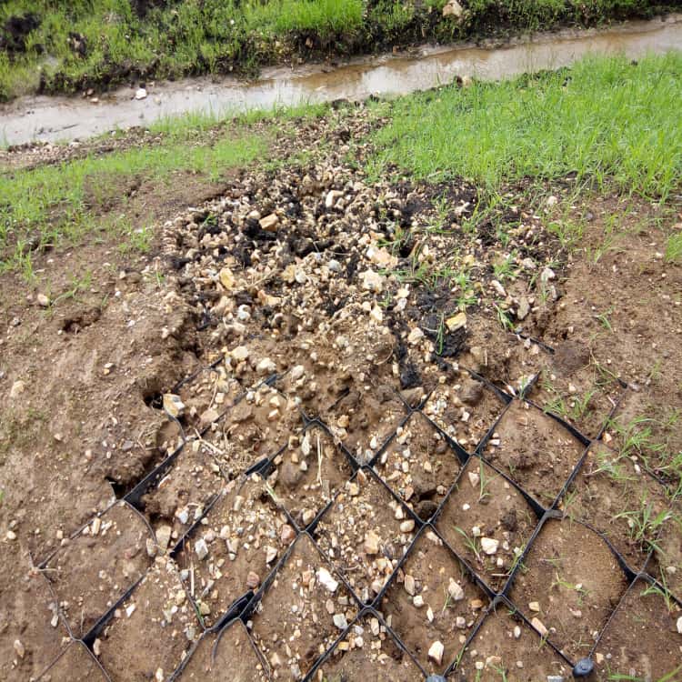 Root Protection System