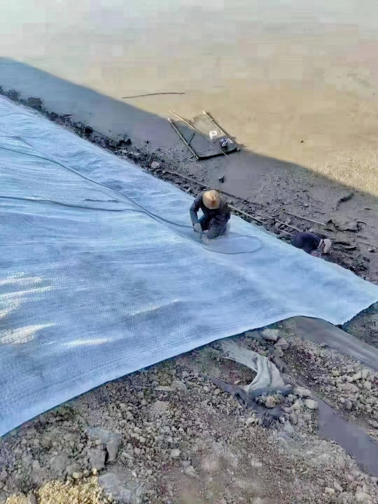 صورة وي تشات_20250502192806_copy.jpg