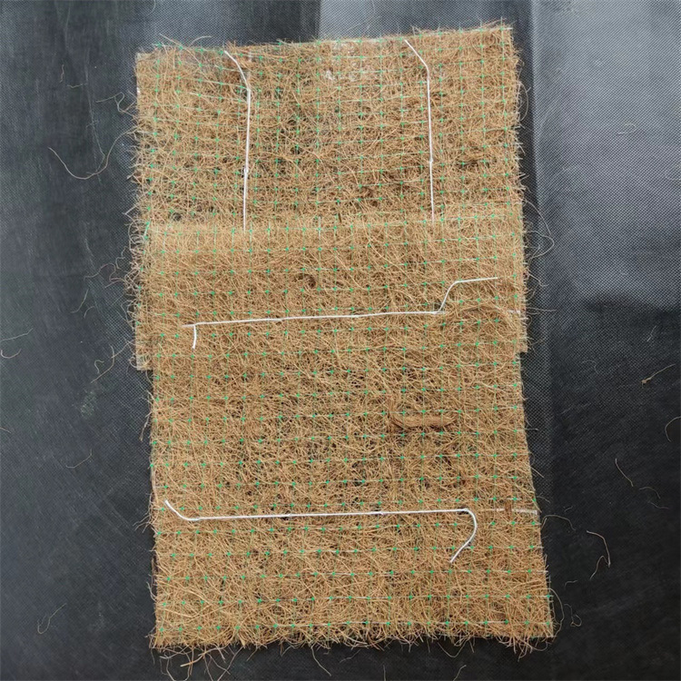 Coir Erosion Control Blanket