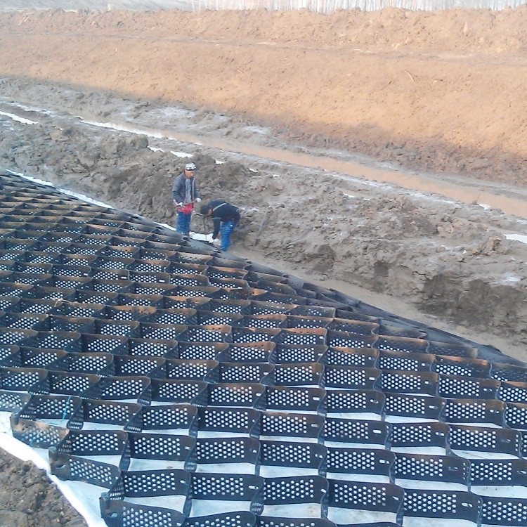 Driveway gravel grid