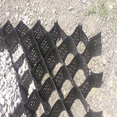 Tree Root Protection System