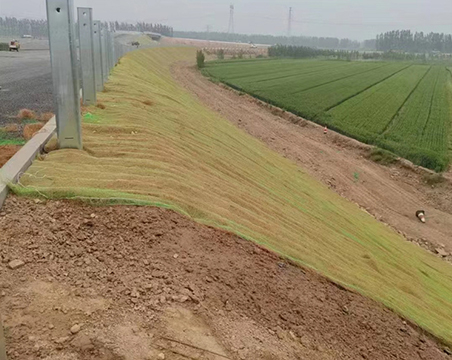 Coir blanket used in slope protection