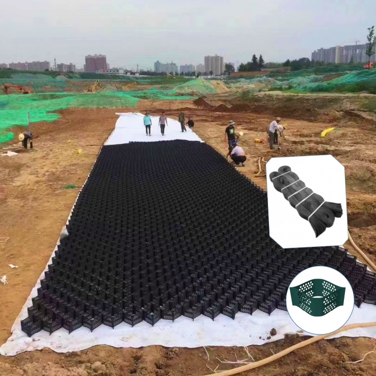 Root Protection System Root Protection System