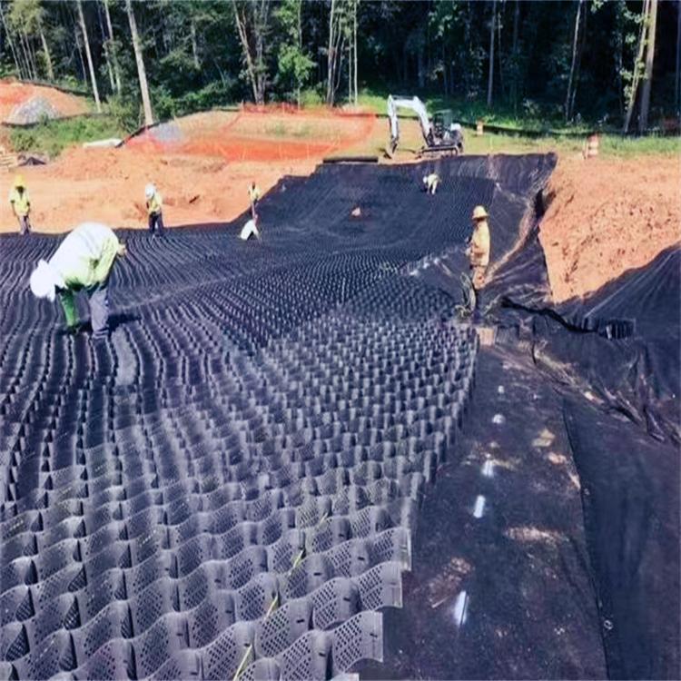 Tree Root Protection (7).jpg