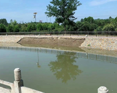 Geocell Flexible Slope Protection Technology 