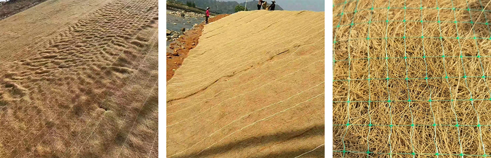 Coir Erosion Control Blanket Coir Erosion Control Blanket