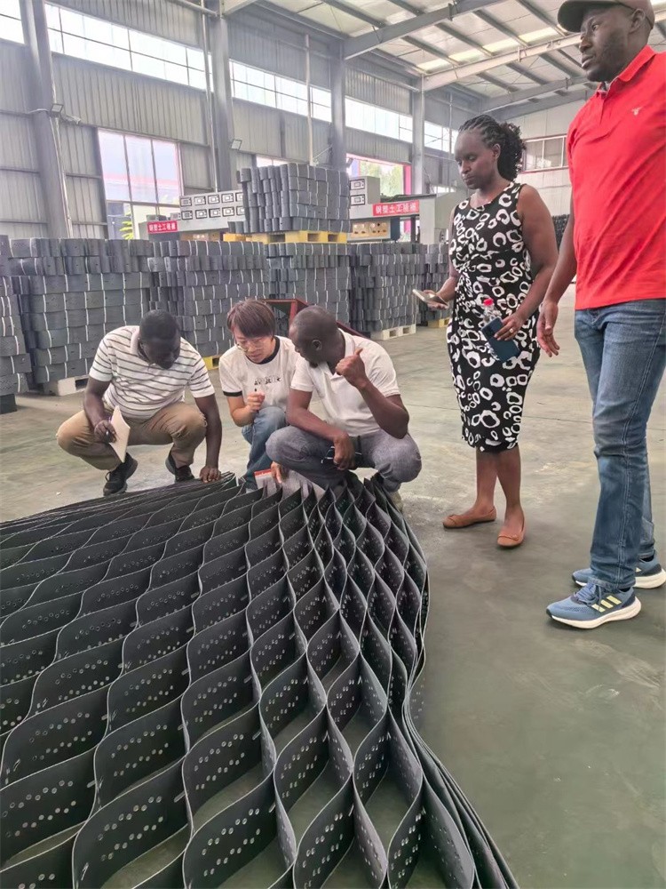 Polyester Geogrid Composite Nonwoven Geotextile Polyester Geogrid Composite Nonwoven Geotextile