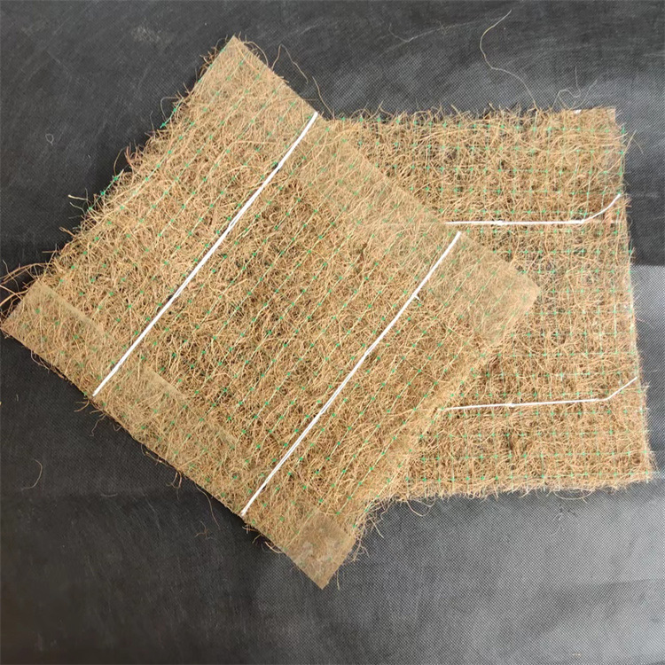Coir Erosion Control Blanket