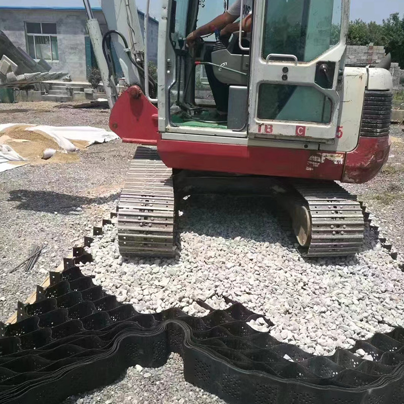 Tree Root Protection