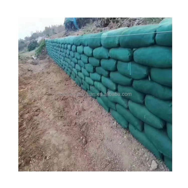 Geobag  Embankment