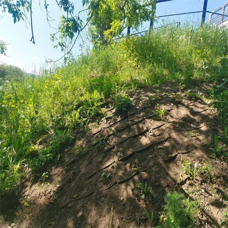 Geocell Erosion Control Geocell Erosion Control