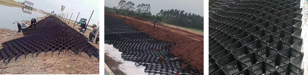 Tree Root Protection