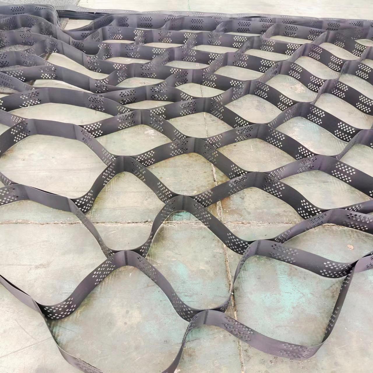 Tree Root Protection Area