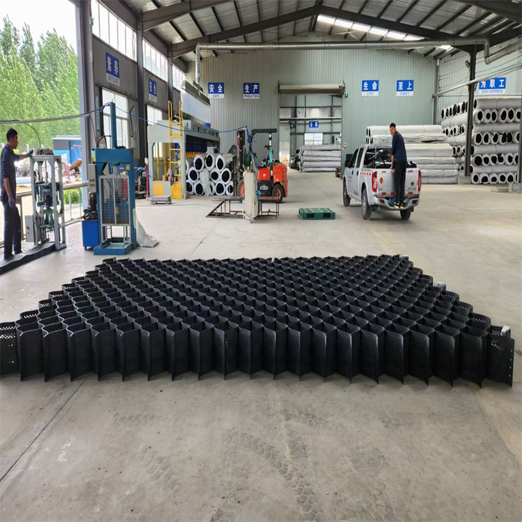 Tree Root Protection Area