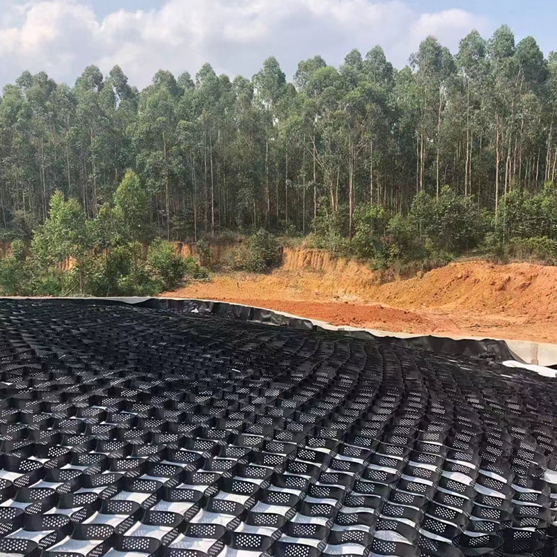 Tree Root Protection