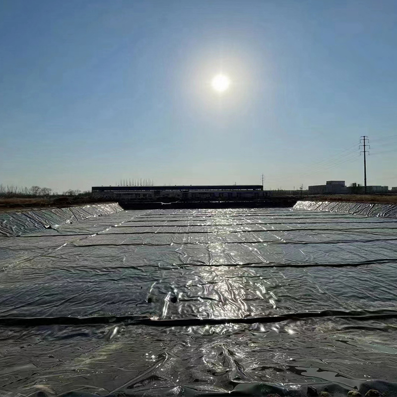 PVC გეომემბრანი