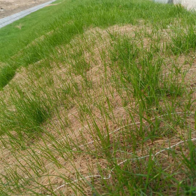 Erosion Control Blanket Erosion Control Blanket