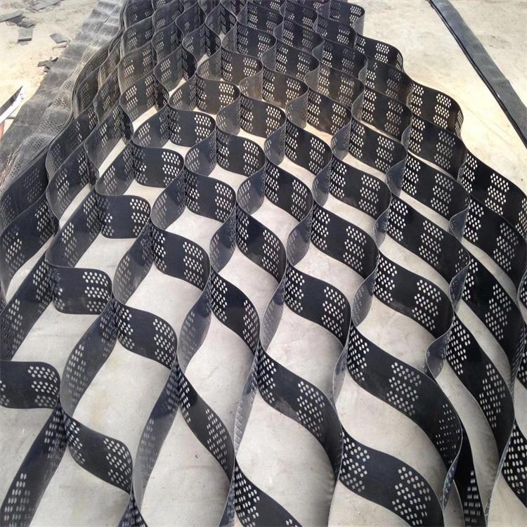 Tree Root Protection