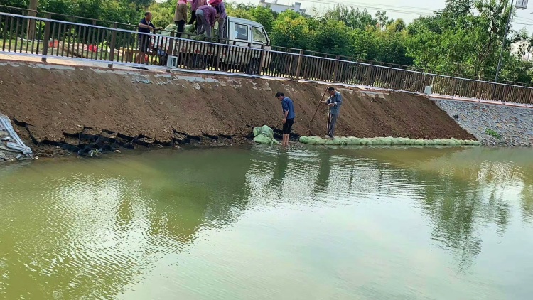 1745566826962027.jpg георешетка (3).jpg