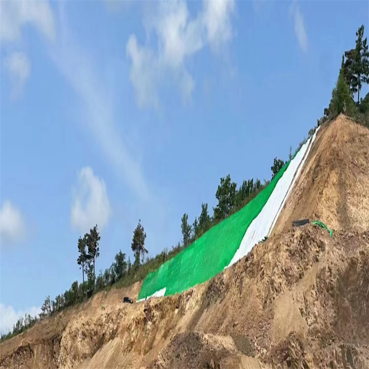 Георешетка