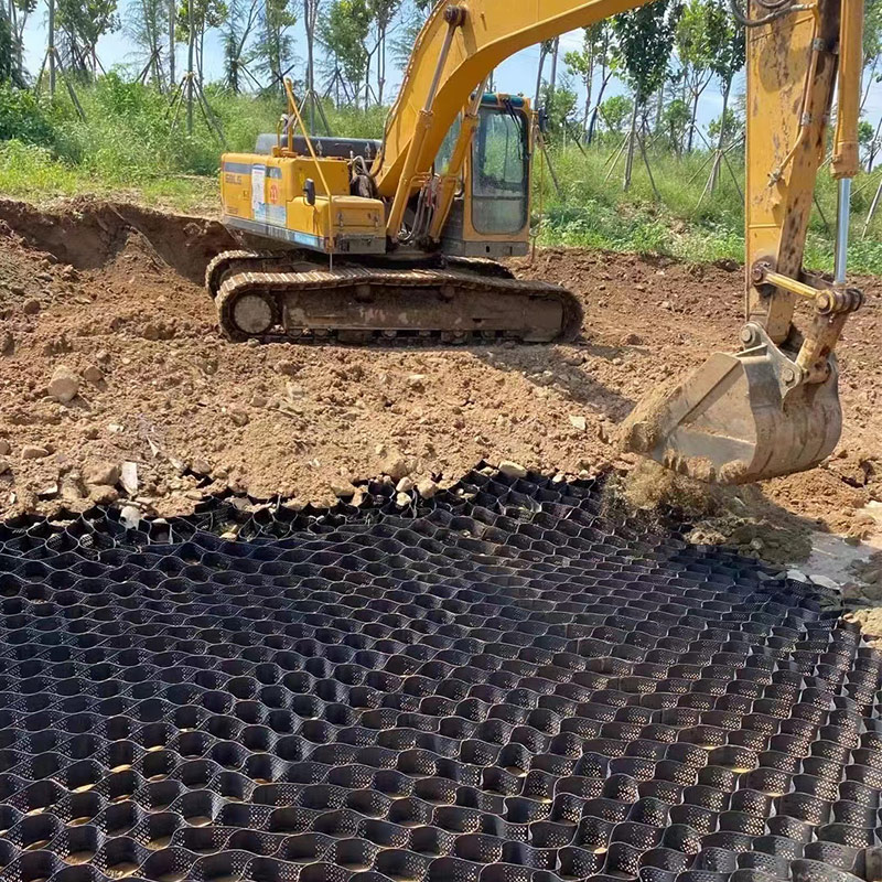 Tree Root Protection