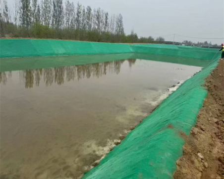 Cement Blanket Used In Lake River Wetland