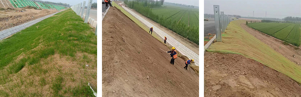 Coir Erosion Control Blanket Coir Erosion Control Blanket