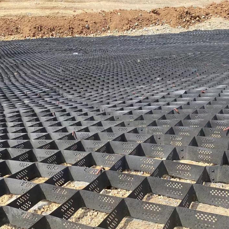 Tree Root Protection