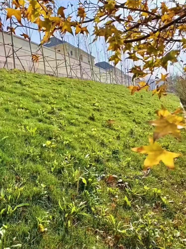 1745566893896621.jpg геоячейка (1).jpg