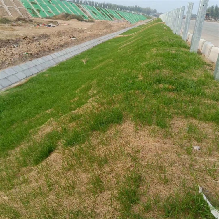 Erosion Control Blanket