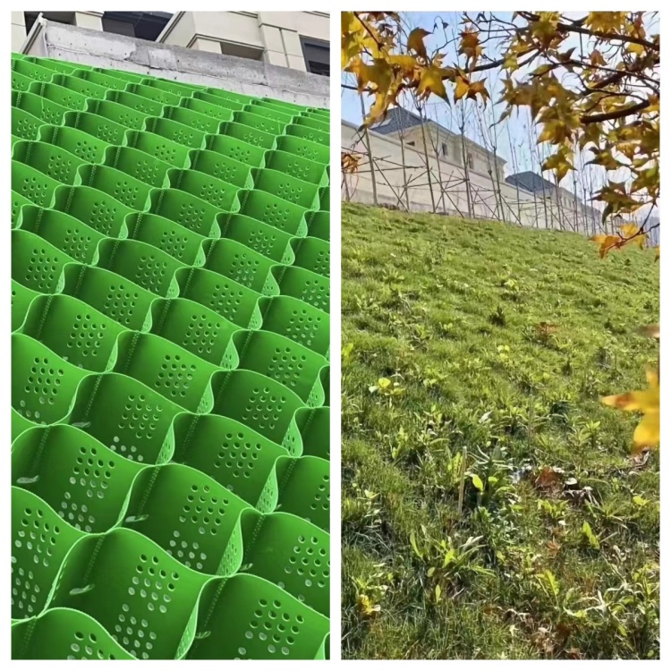 1745566876695825.jpg георешетка (6).jpg