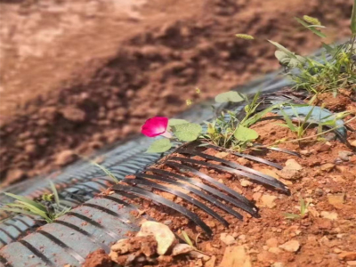 HDPE Uniaxial Geogrid